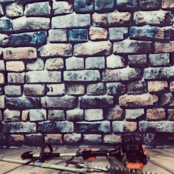 Benzin-Teleskop-Heckenschere