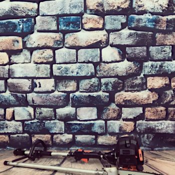 Benzin-Hochentaster / Astsäge